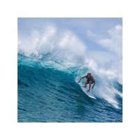 Surfboard TORQ Epoxy TET 7.8 V+ Funboard Navy Pinl